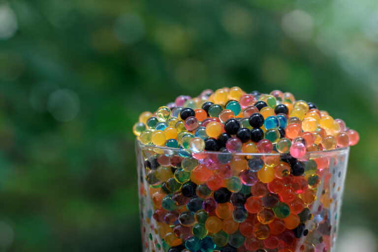 Are Orbeez Toxic to Dogs? A Complete Guide for Pet Owners