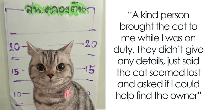 This Cat Caused Chaos At A Police Station And Got A Mugshot That’s Now Internet Gold