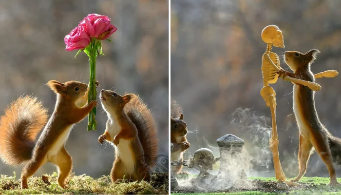 45 Amazing Squirrel Photos Doing Funny Human Things by Award-Winning Wildlife Photographer Geert Weggen